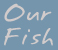 Click here to learn more about our fish